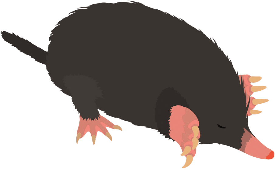 Крот